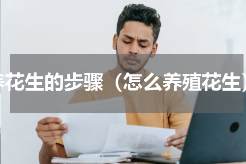 养花生的步骤（怎么养殖花生）