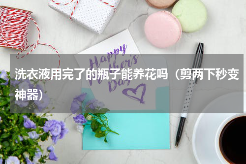 洗衣液用完了的瓶子能养花吗（剪两下秒变神器）