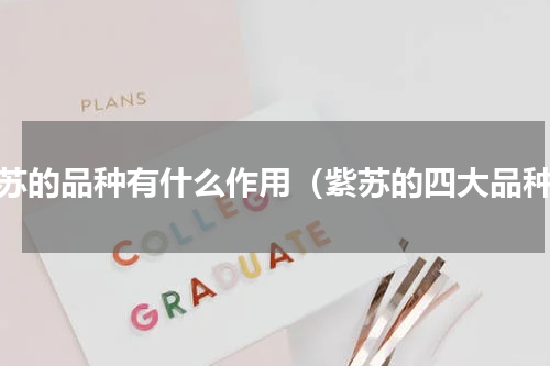紫苏的品种有什么作用（紫苏的四大品种）