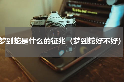 梦到蛇是什么的征兆（梦到蛇好不好）