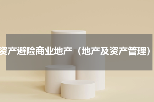 资产避险商业地产（地产及资产管理）