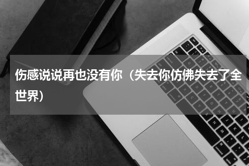 伤感说说再也没有你（失去你仿佛失去了全世界）