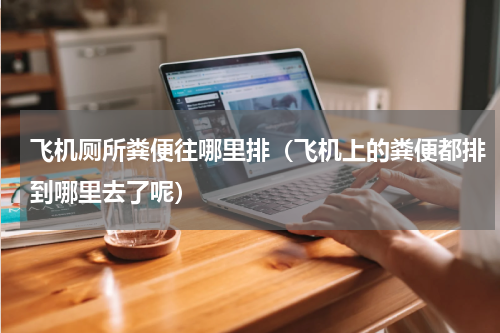 飞机厕所粪便往哪里排（飞机上的粪便都排到哪里去了呢）