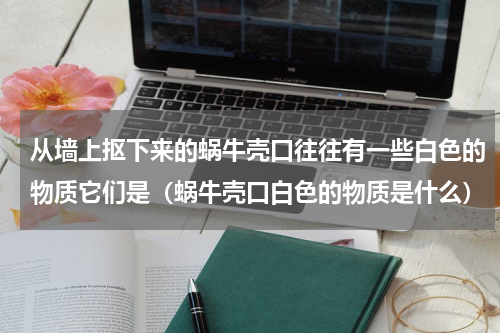 从墙上抠下来的蜗牛壳口往往有一些白色的物质它们是（蜗牛壳口白色的物质是什么）