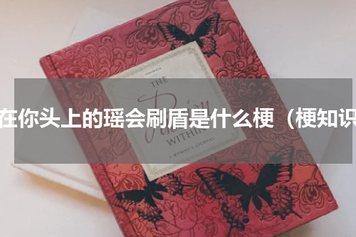 挂在你头上的瑶会刷盾是什么梗（梗知识）