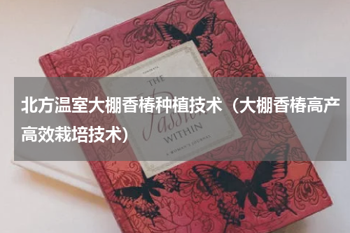 北方温室大棚香椿种植技术（大棚香椿高产高效栽培技术）