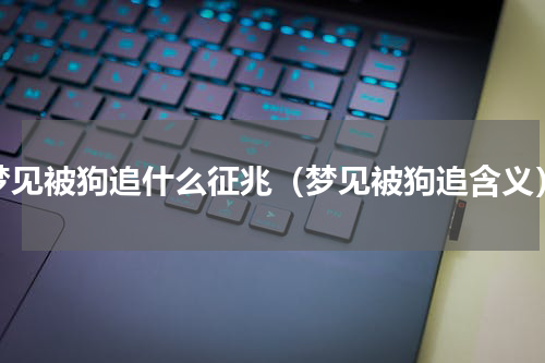 梦见被狗追什么征兆（梦见被狗追含义）