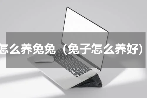 怎么养兔兔（兔子怎么养好）
