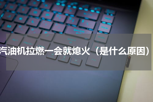 汽油机拉燃一会就熄火（是什么原因）