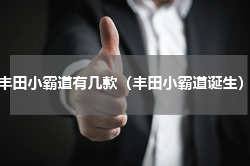 丰田小霸道有几款（丰田小霸道诞生）