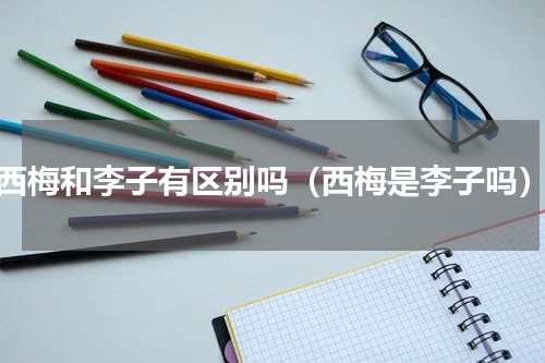 西梅和李子有区别吗（西梅是李子吗）