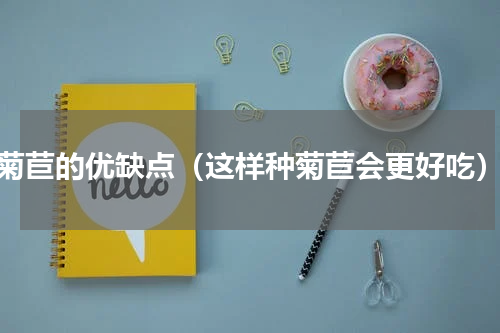 菊苣的优缺点（这样种菊苣会更好吃）