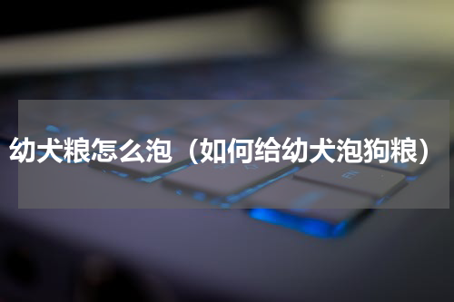 幼犬粮怎么泡（如何给幼犬泡狗粮）