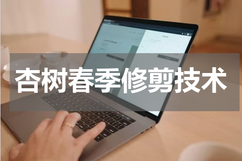 杏树春季修剪技术