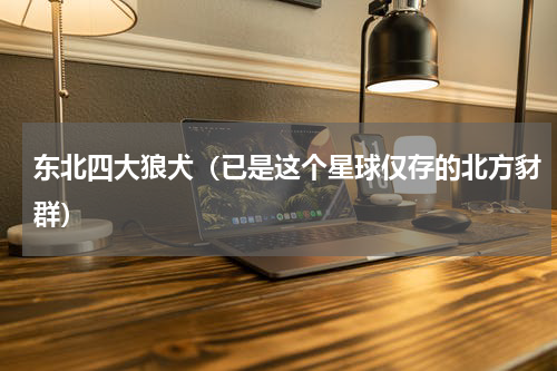 东北四大狼犬（已是这个星球仅存的北方豺群）