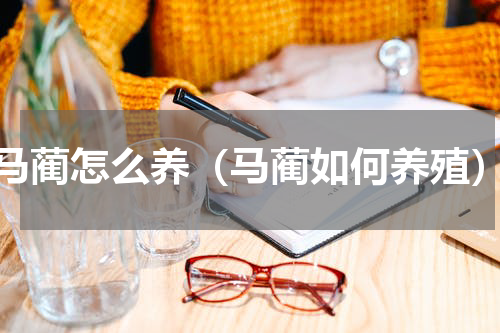 马蔺怎么养（马蔺如何养殖）