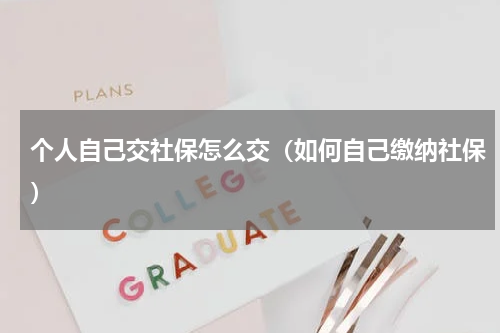 个人自己交社保怎么交（如何自己缴纳社保）