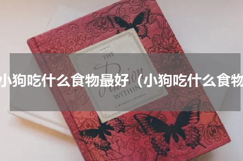 给小狗吃什么食物最好（小狗吃什么食物）