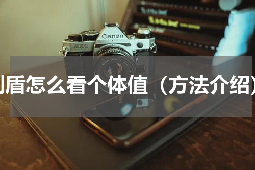剑盾怎么看个体值（方法介绍）