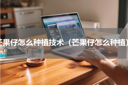 芒果仔怎么种植技术（芒果仔怎么种植）