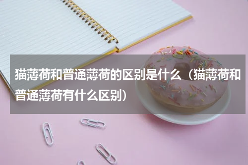 猫薄荷和普通薄荷的区别是什么（猫薄荷和普通薄荷有什么区别）