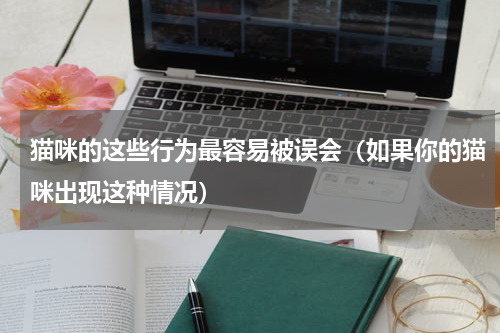 猫咪的这些行为最容易被误会（如果你的猫咪出现这种情况）