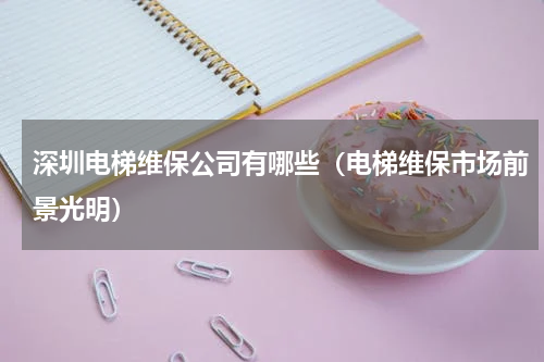 深圳电梯维保公司有哪些（电梯维保市场前景光明）