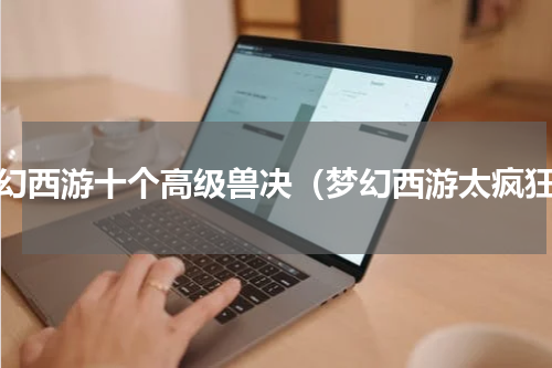 梦幻西游十个高级兽决（梦幻西游太疯狂）