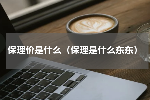 保理价是什么（保理是什么东东）