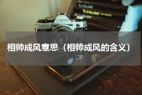 相帅成风意思（相帅成风的含义）
