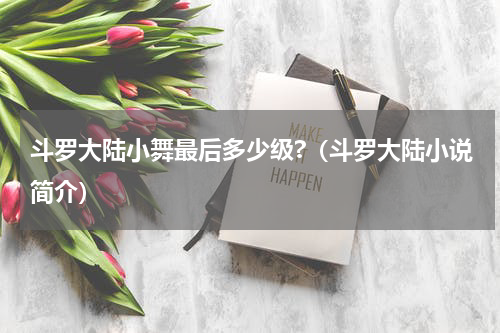 斗罗大陆小舞最后多少级?（斗罗大陆小说简介）