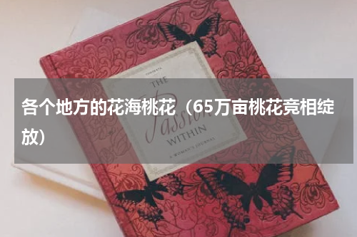 各个地方的花海桃花（65万亩桃花竞相绽放）