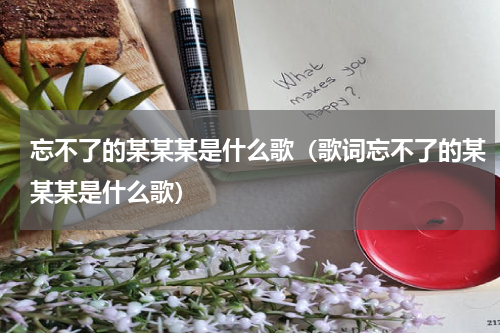 忘不了的某某某是什么歌（歌词忘不了的某某某是什么歌）