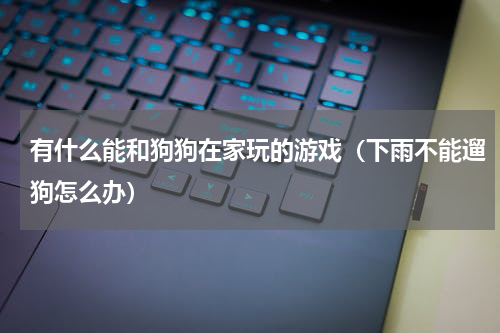 有什么能和狗狗在家玩的游戏（下雨不能遛狗怎么办）