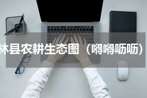 林县农耕生态图（嘚嘚呖呖）