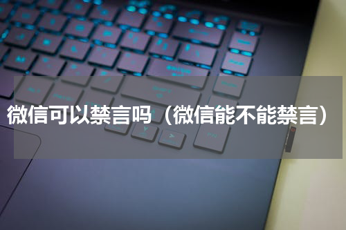 微信可以禁言吗（微信能不能禁言）