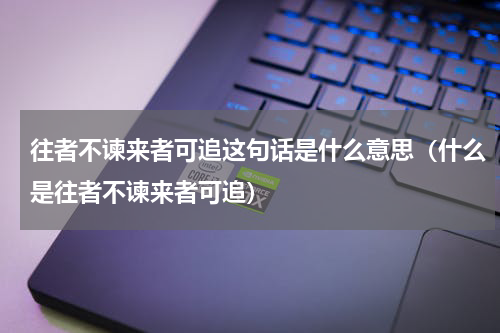 往者不谏来者可追这句话是什么意思（什么是往者不谏来者可追）