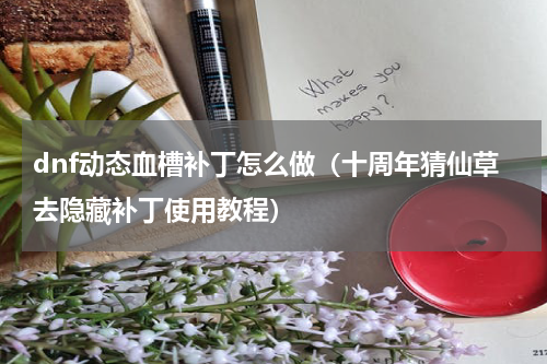 dnf动态血槽补丁怎么做（十周年猜仙草去隐藏补丁使用教程）