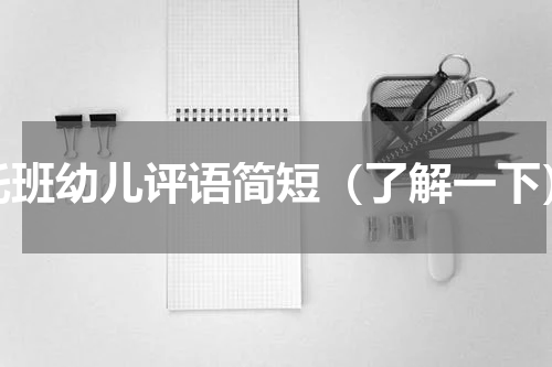 托班幼儿评语简短（了解一下）