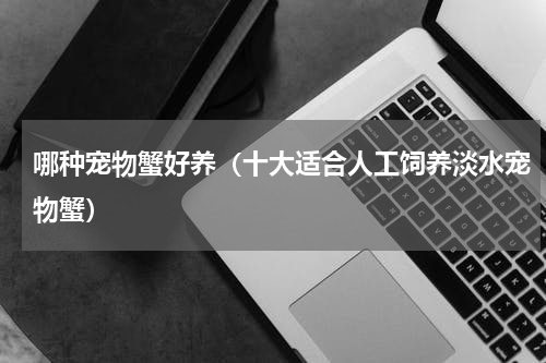 哪种宠物蟹好养（十大适合人工饲养淡水宠物蟹）