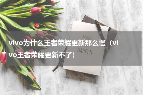 vivo为什么王者荣耀更新那么慢（vivo王者荣耀更新不了）