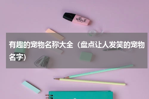 有趣的宠物名称大全（盘点让人发笑的宠物名字）