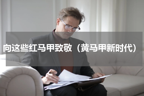 向这些红马甲致敬（黄马甲新时代）