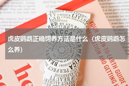 虎皮鹦鹉正确饲养方法是什么（虎皮鹦鹉怎么养）