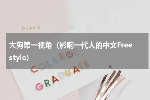 大狗第一视角（影响一代人的中文Freestyle）