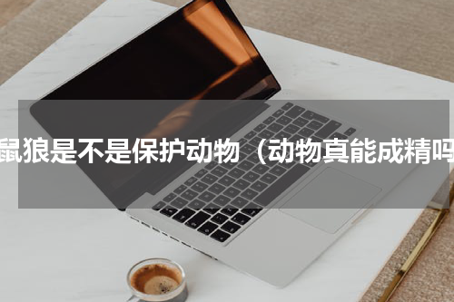 黄鼠狼是不是保护动物（动物真能成精吗）