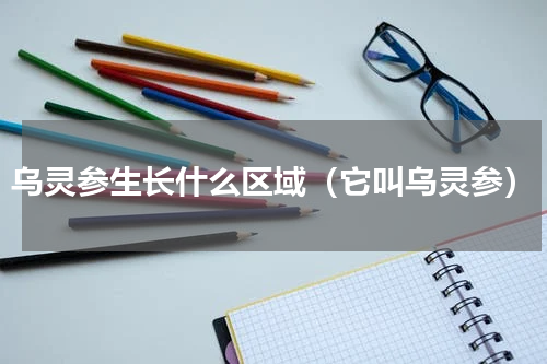 乌灵参生长什么区域（它叫乌灵参）