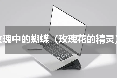 玫瑰中的蝴蝶（玫瑰花的精灵）