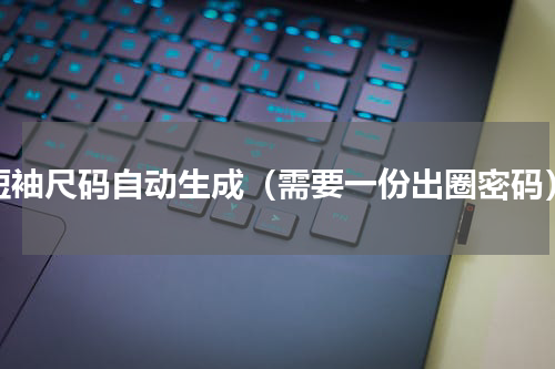 短袖尺码自动生成（需要一份出圈密码）