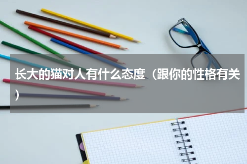 长大的猫对人有什么态度（跟你的性格有关）